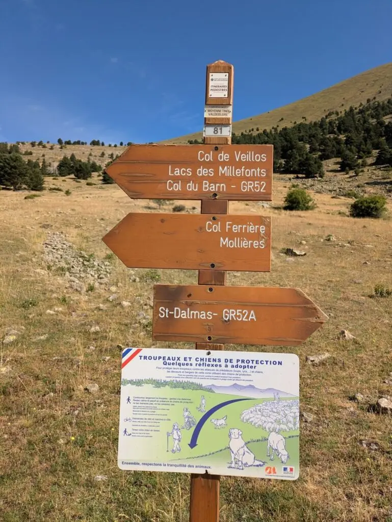 Grande Traversée des Alpes GR5 et GR52 - Mercantour et Vallée des Merveilles - 44 — photo 58