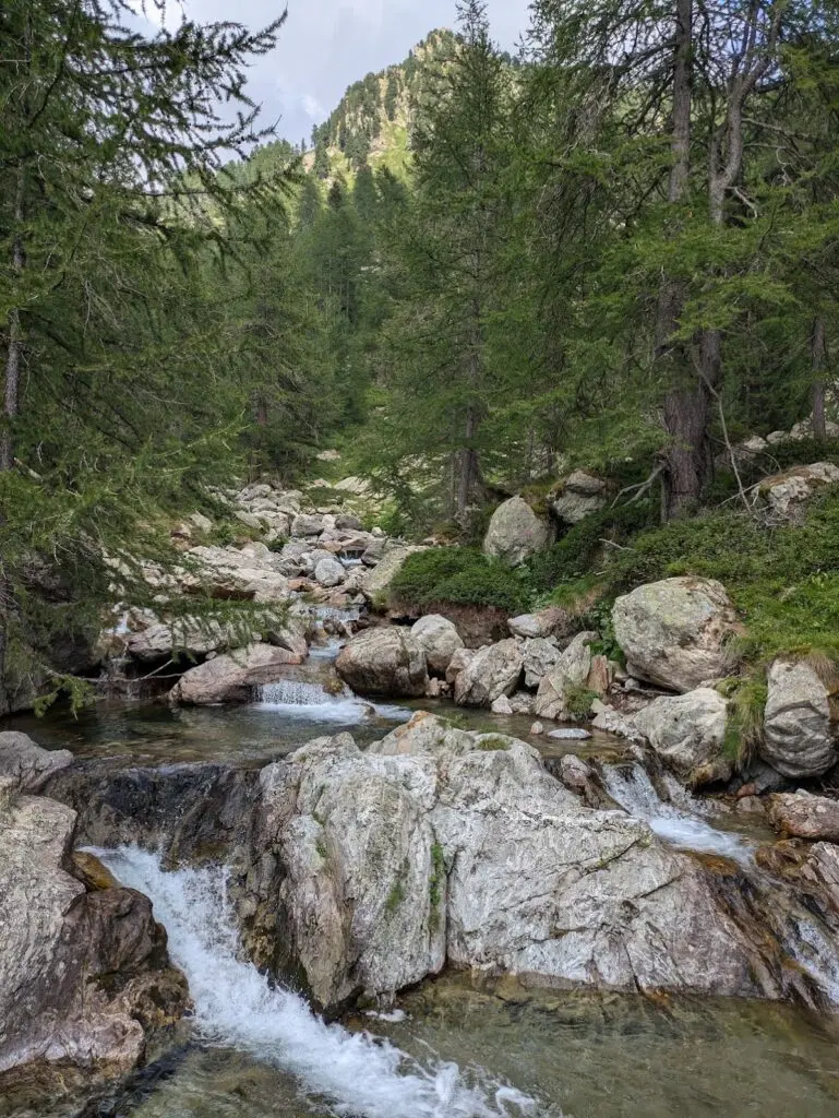 Grande Traversée des Alpes GR5 et GR52 - Mercantour et Vallée des Merveilles - 44 — photo 74