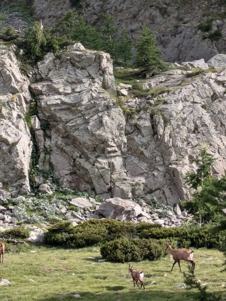 Grande Traversée des Alpes GR5 et GR52 - Mercantour et Vallée des Merveilles - 44 — photo 79