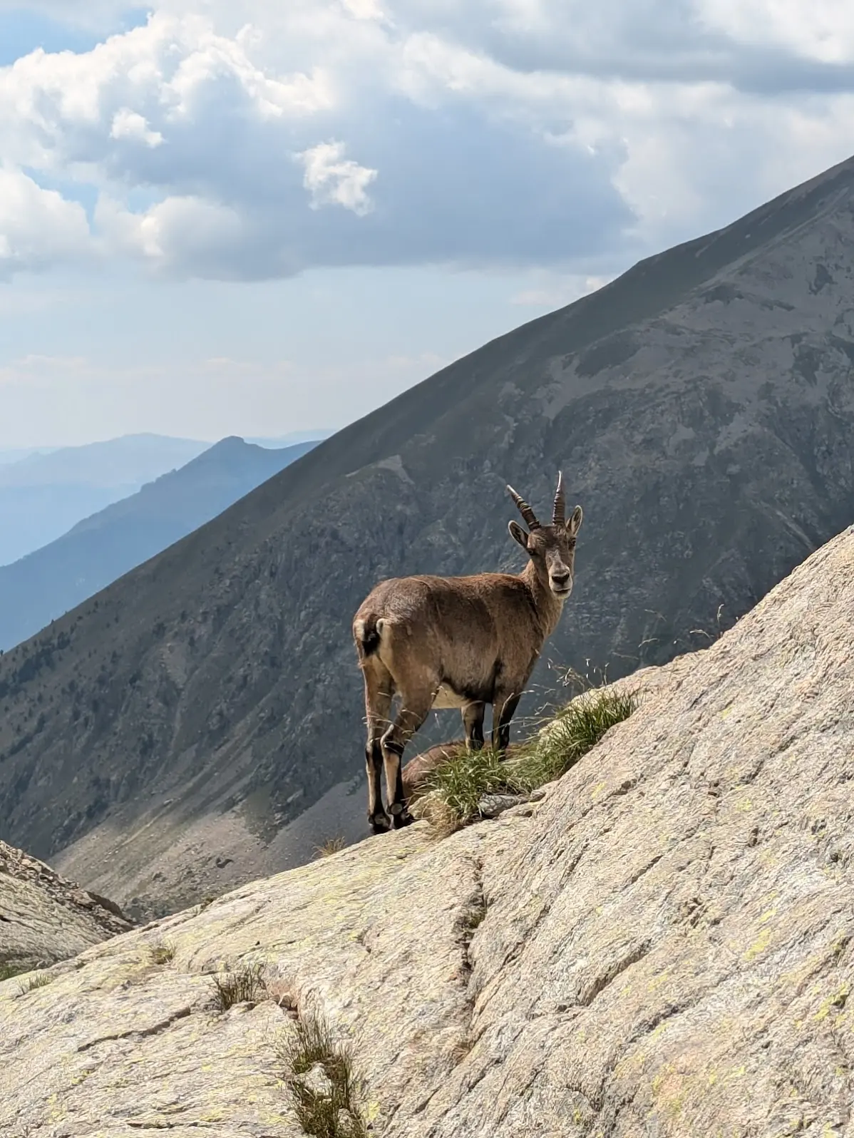 Grande Traversée des Alpes (GTA) par le GR5 itinéraire, étapes et conseils — photo 11