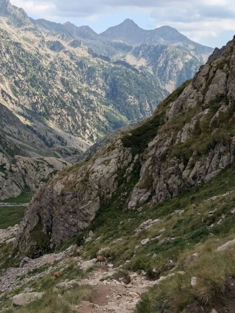 Grande Traversée des Alpes GR5 et GR52 - Mercantour et Vallée des Merveilles - 44 — photo 89