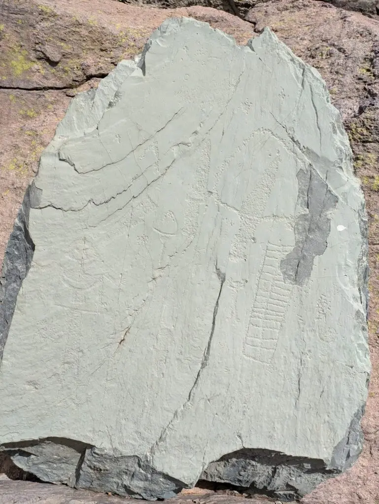 Grande Traversée des Alpes GR5 et GR52 - Mercantour et Vallée des Merveilles - 44 — photo 100