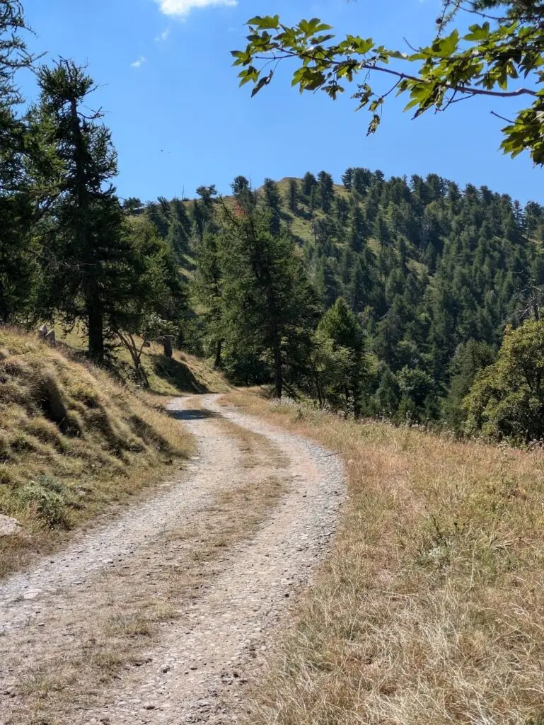 Grande Traversée des Alpes GR5 et GR52 - Mercantour et Vallée des Merveilles - 44 — photo 117