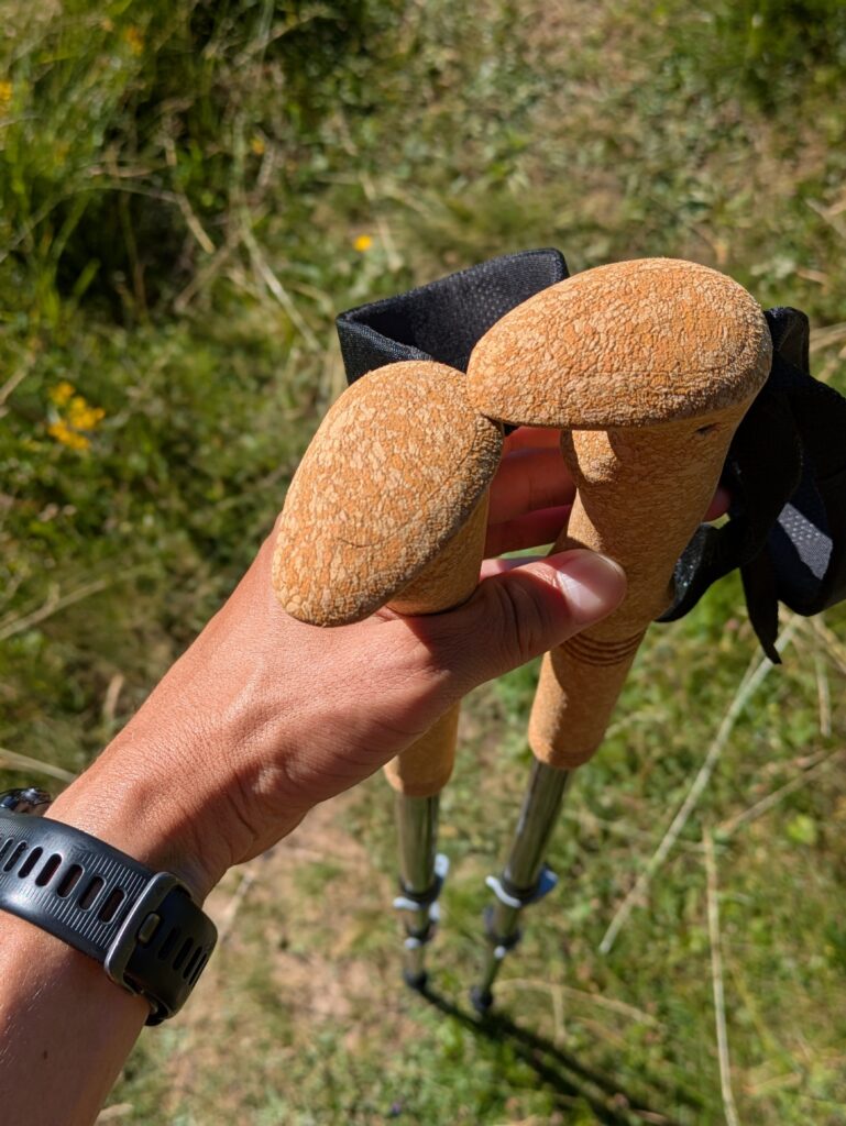 Bâtons Komperdell Carbon Cloud Zero — Test & avis (2026)