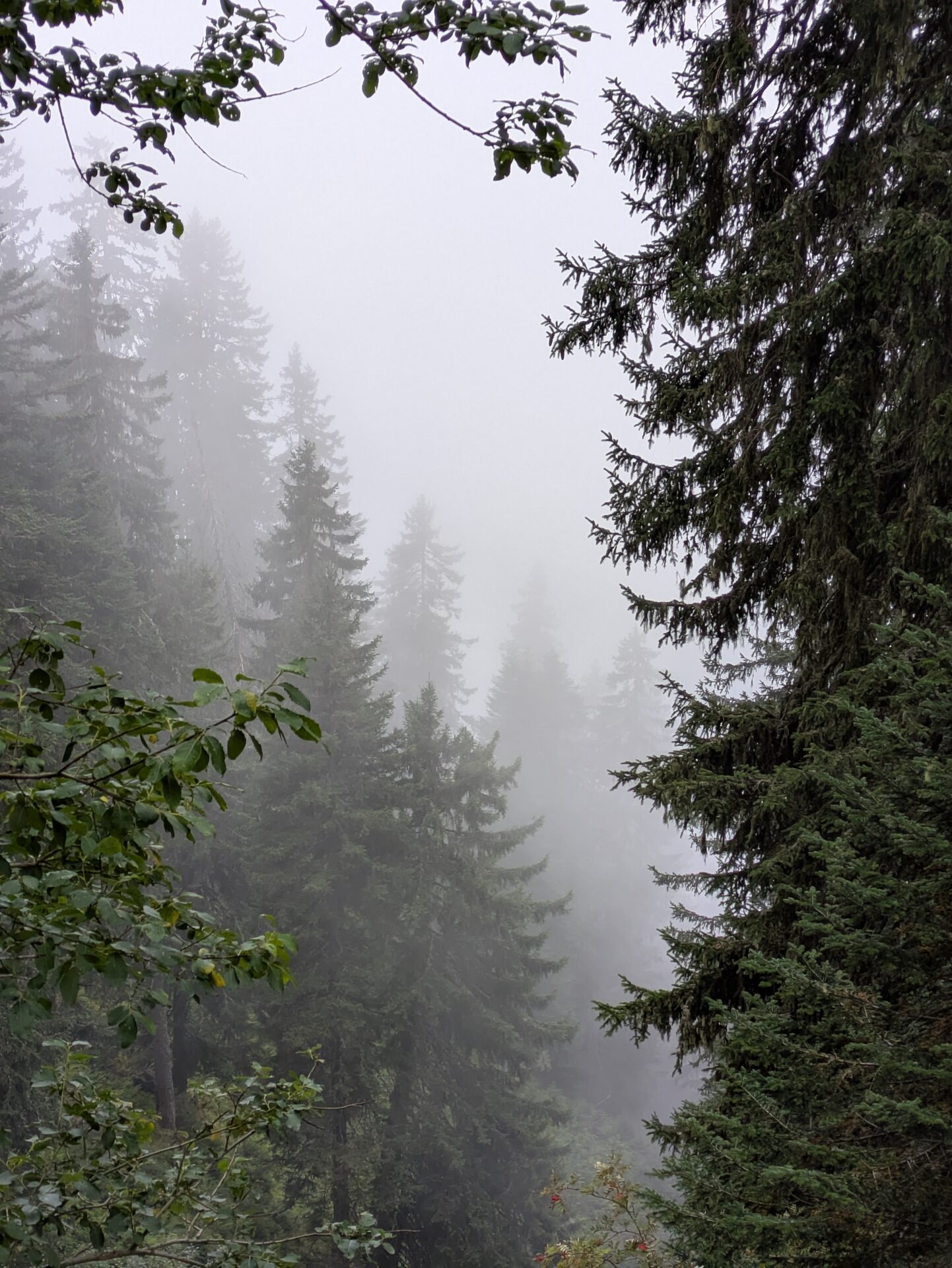 Tour du Beaufortain en 6 jours étapes, itinéraire et récit — photo 14