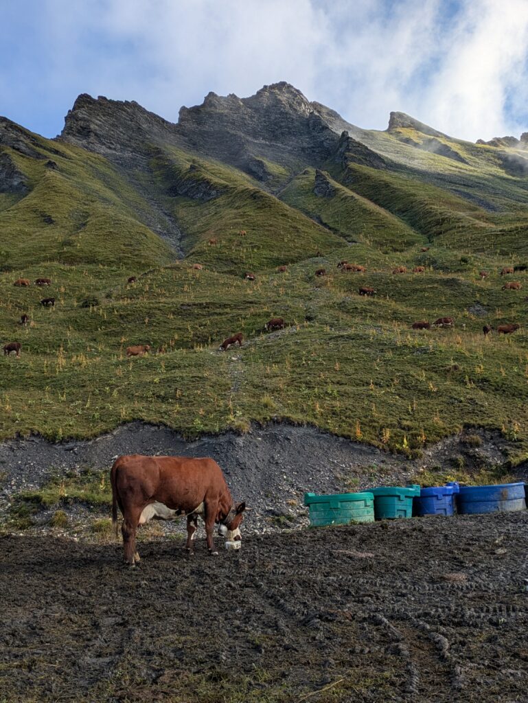 Tour du Beaufortain en 6 jours étapes, itinéraire et récit — photo 23