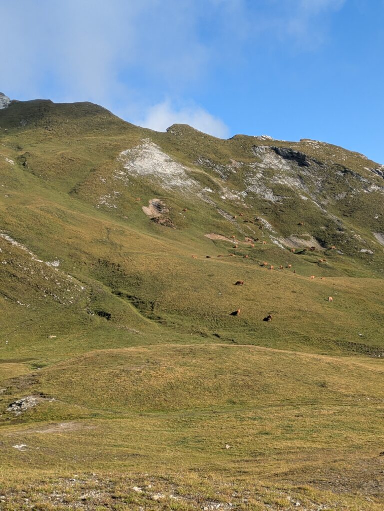 Tour du Beaufortain en 6 jours étapes, itinéraire et récit — photo 40