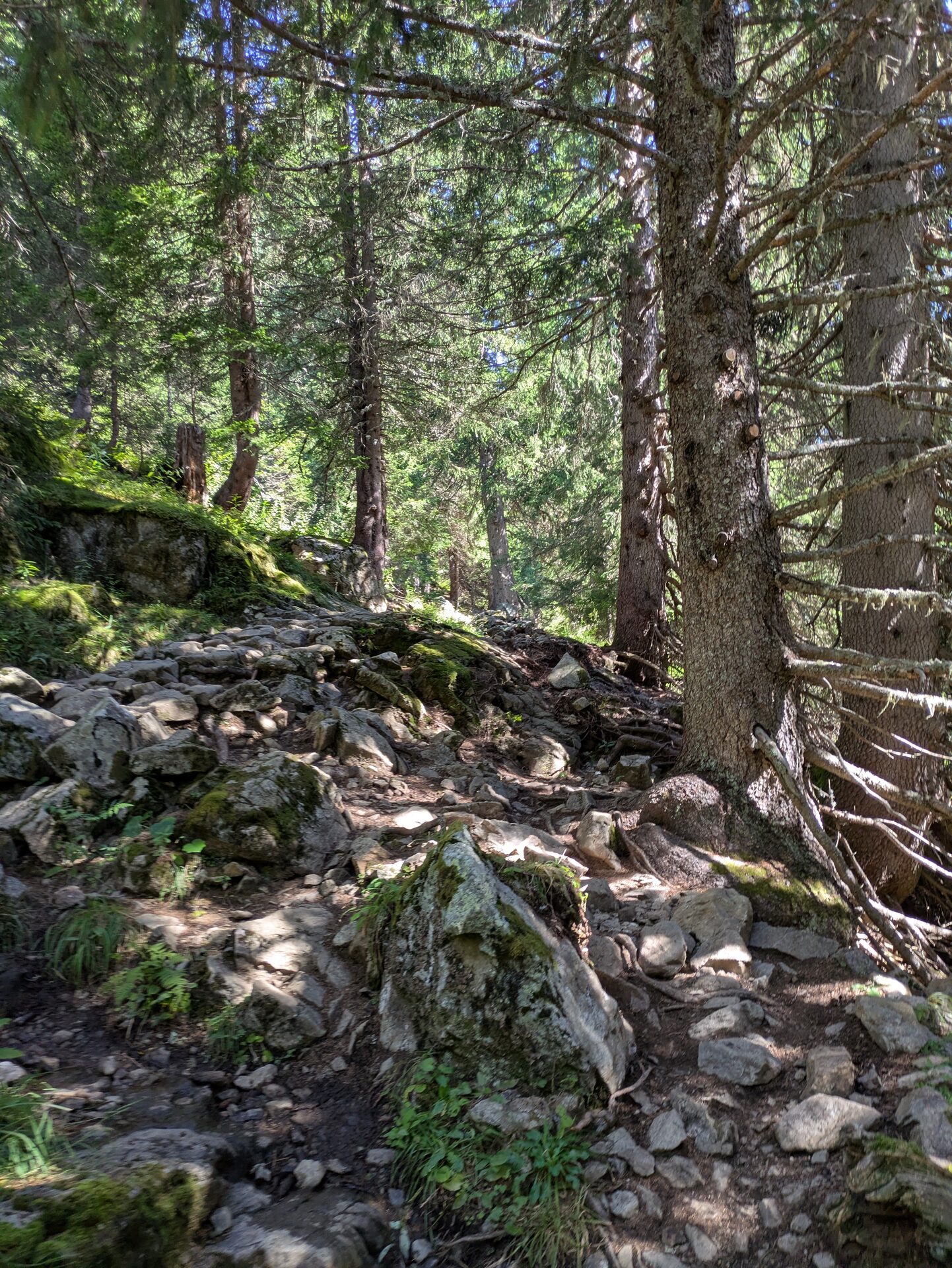 Tour du Beaufortain en 6 jours étapes, itinéraire et récit — photo 57