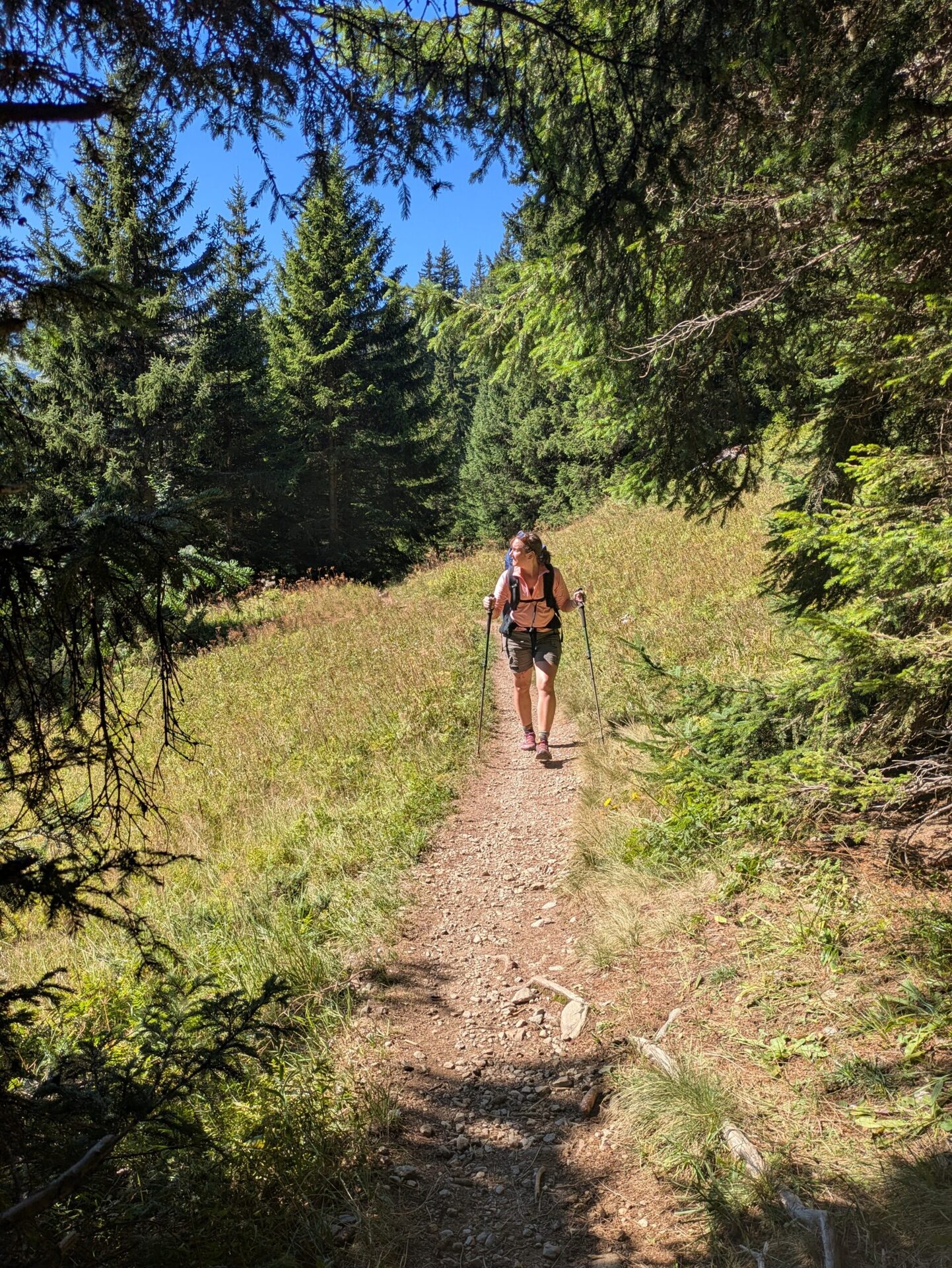 Tour du Beaufortain en 6 jours étapes, itinéraire et récit — photo 58