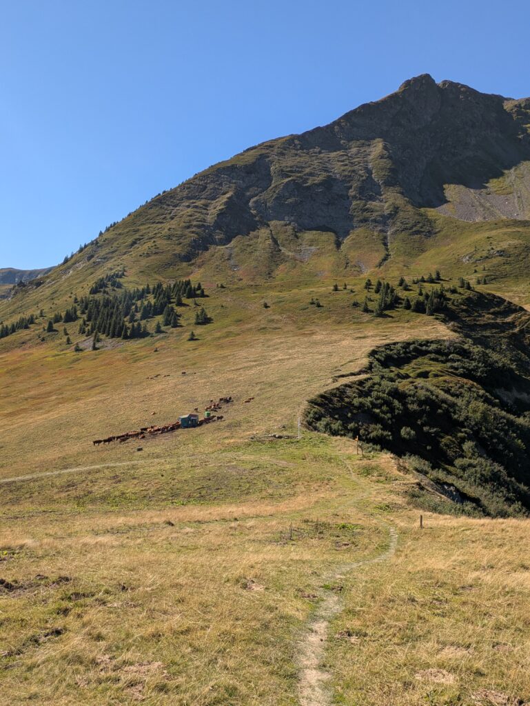 Tour du Beaufortain en 6 jours étapes, itinéraire et récit — photo 66