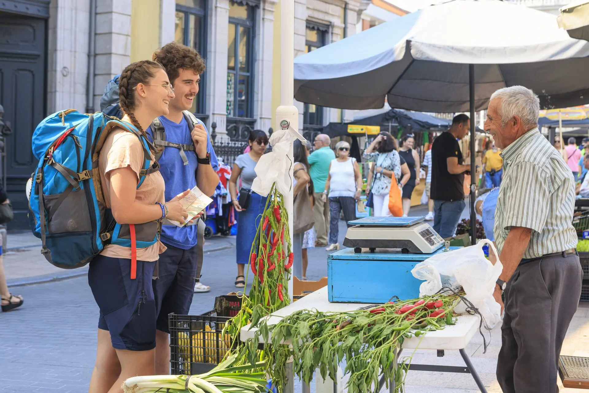 Quand partir ? — Le Chemin Primitif : aux origines du Chemin de Saint-Jacques