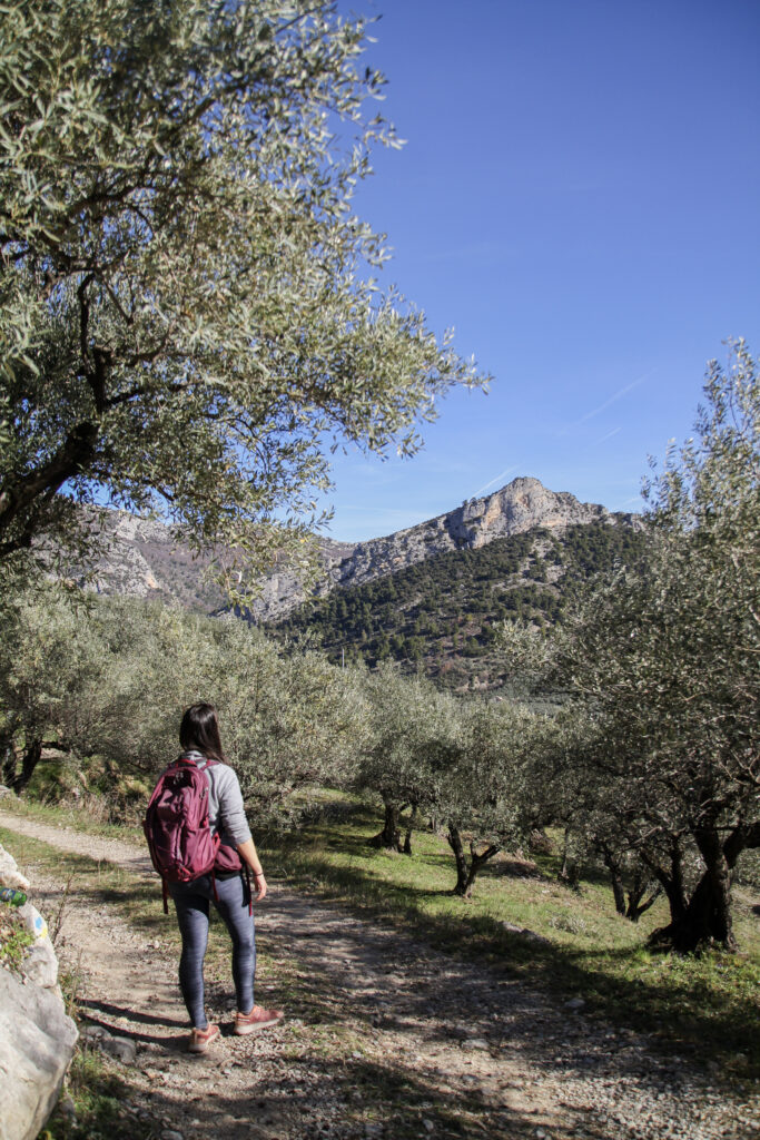 GRP Tour des Baronnies provençales entre Alpes et Provence — photo 5