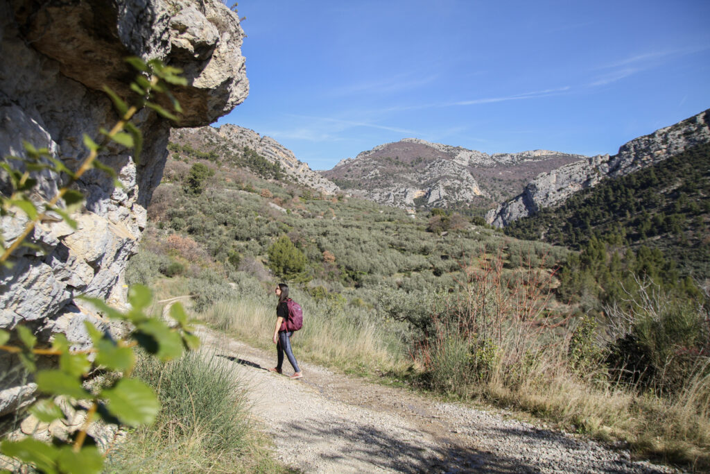GRP Tour des Baronnies provençales entre Alpes et Provence — photo 4